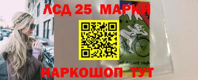 прущие грибы Краснодар